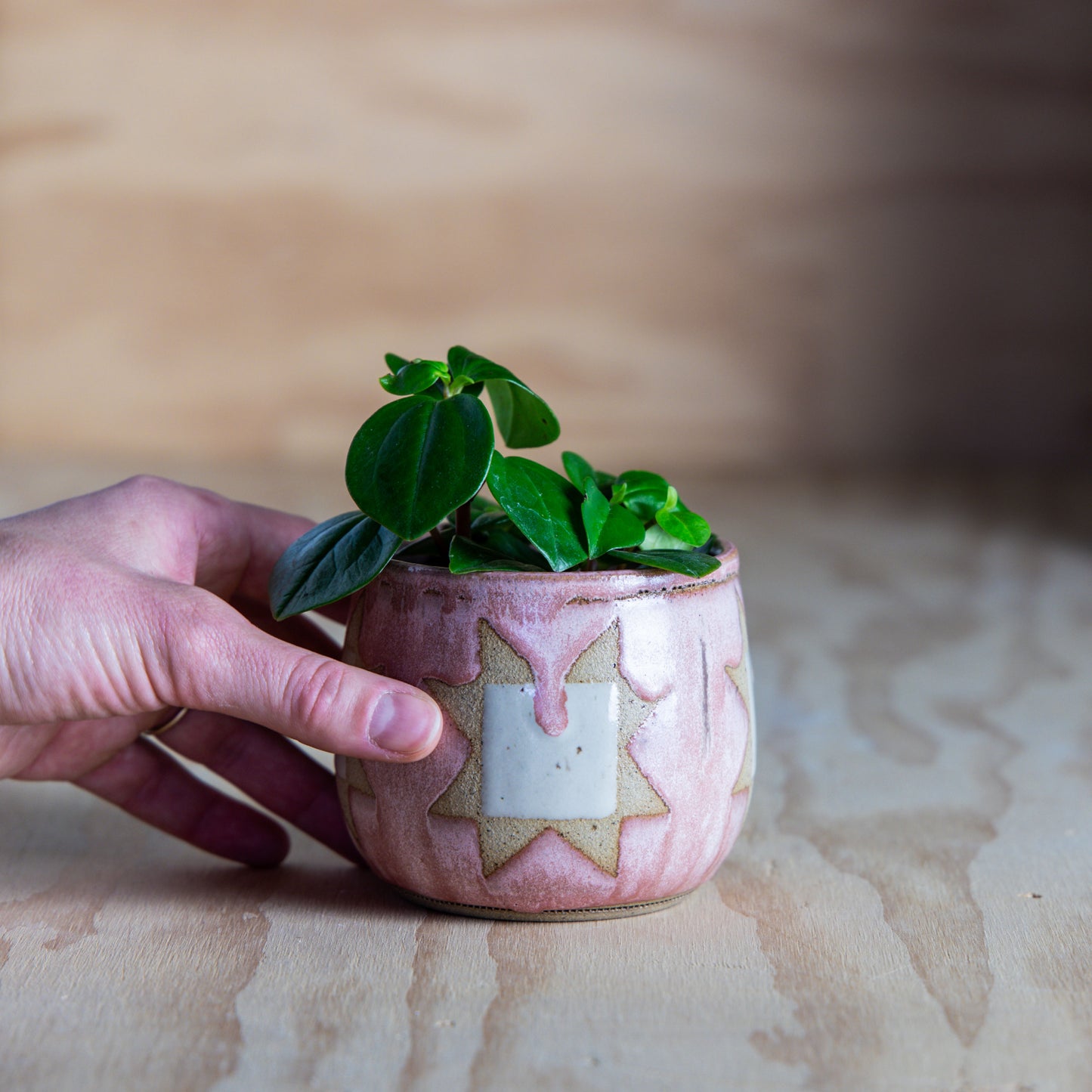 Sawtooth Star Mini Planter-Drippy Rose Quartz