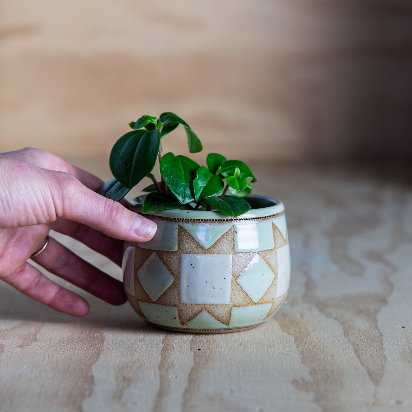Sawtooth Star Mini Planter-Mint