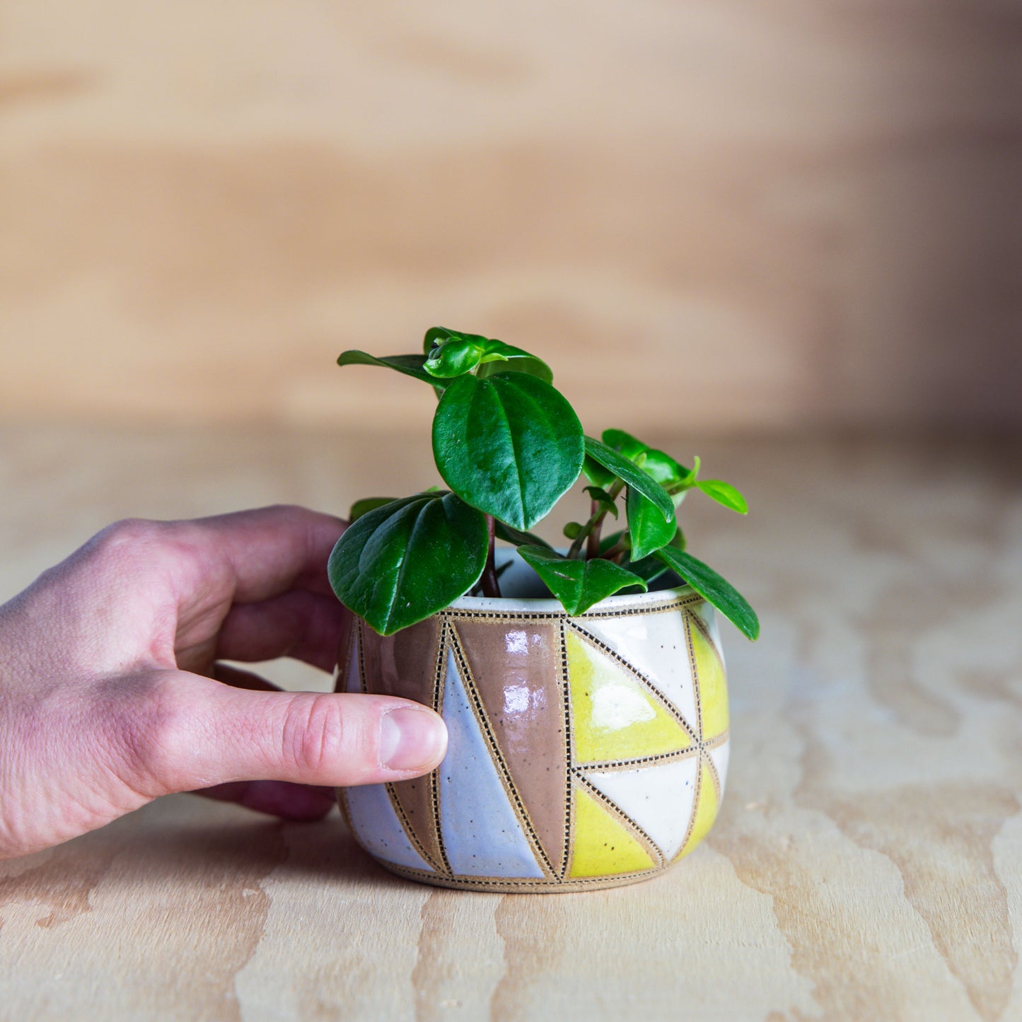 Improv Mini Planter