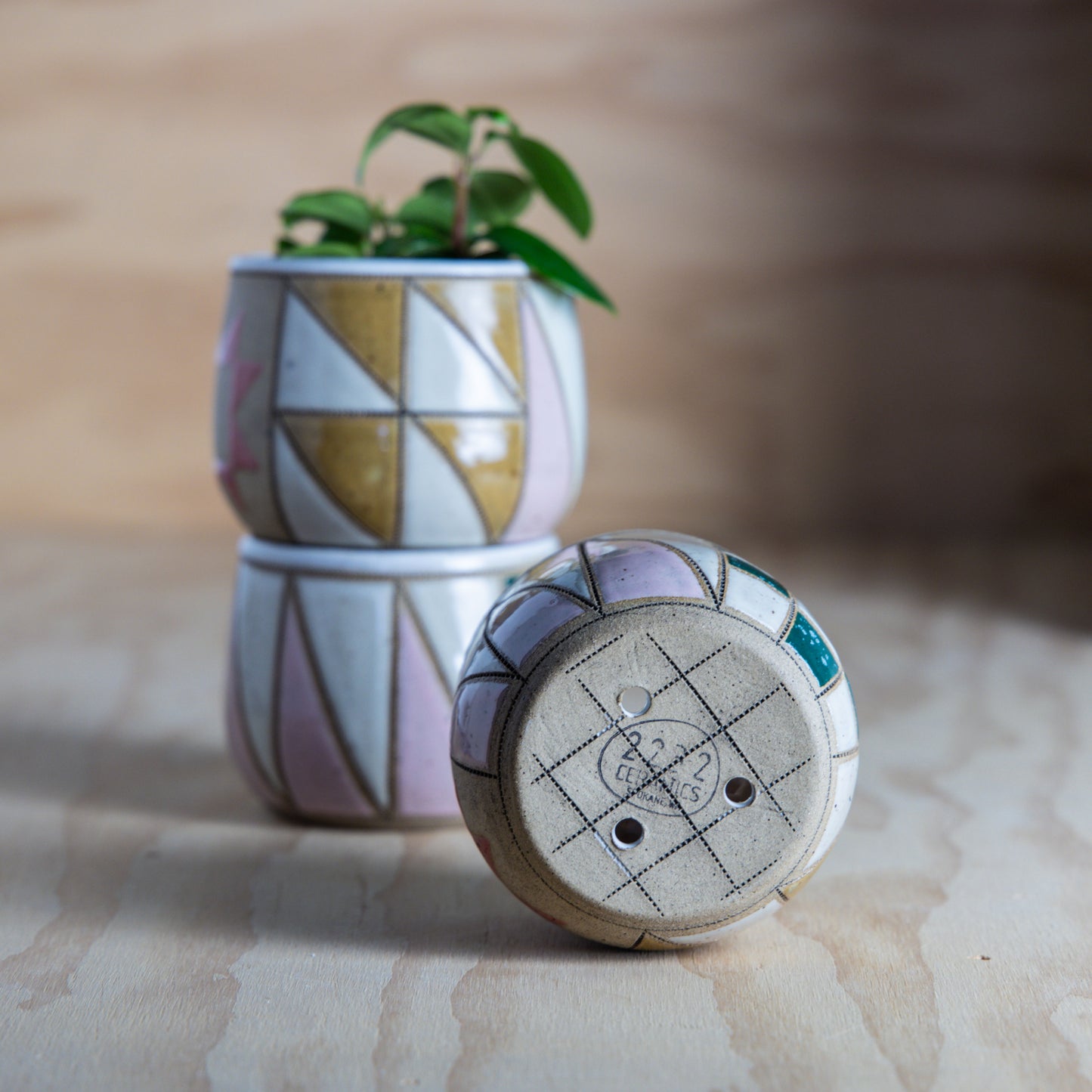 Improv Sawtooth Star Mini Planter-Coral