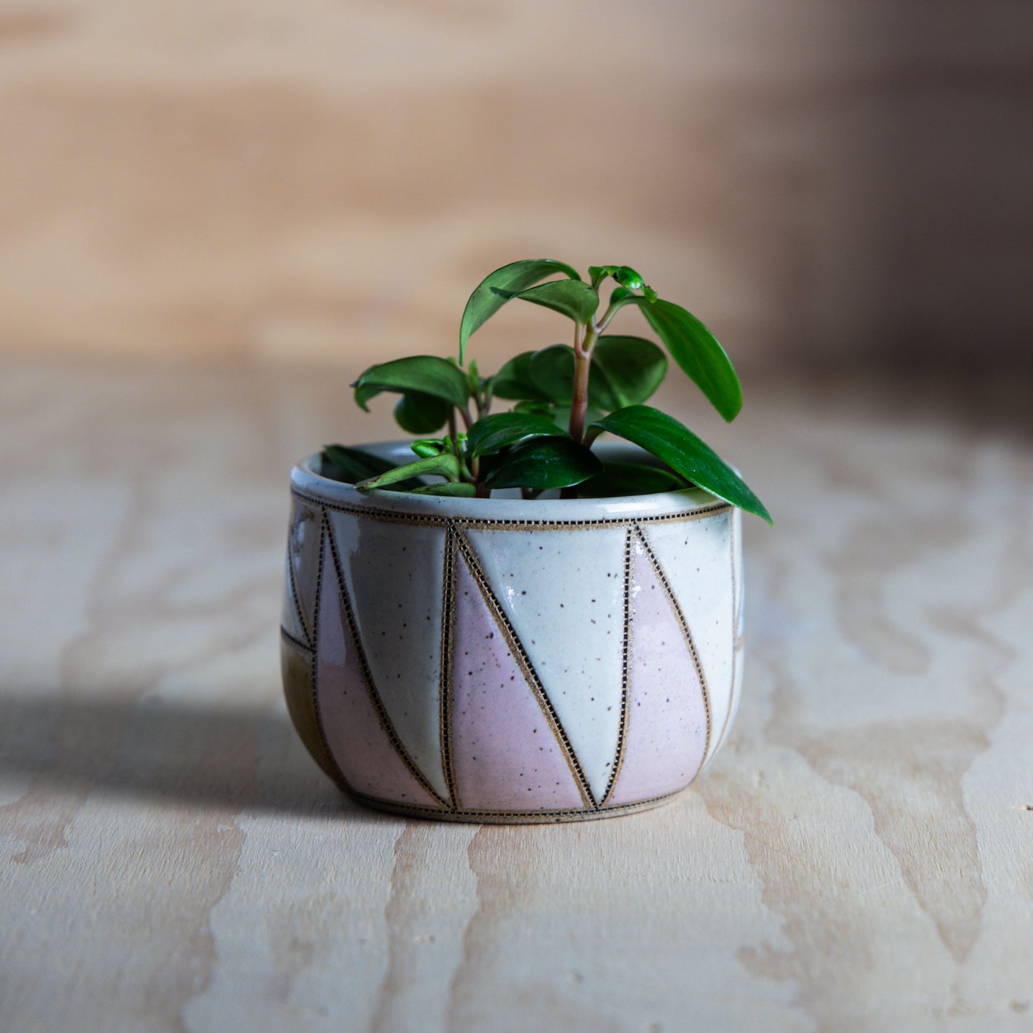 Improv Mini Planter-Flying Geese