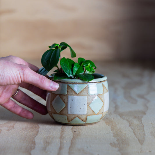 Sawtooth Star Mini Planter-Mint