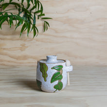 Load image into Gallery viewer, ***PRE-ORDER*** Houseplant Salt/Sugar Jar w/spoon
