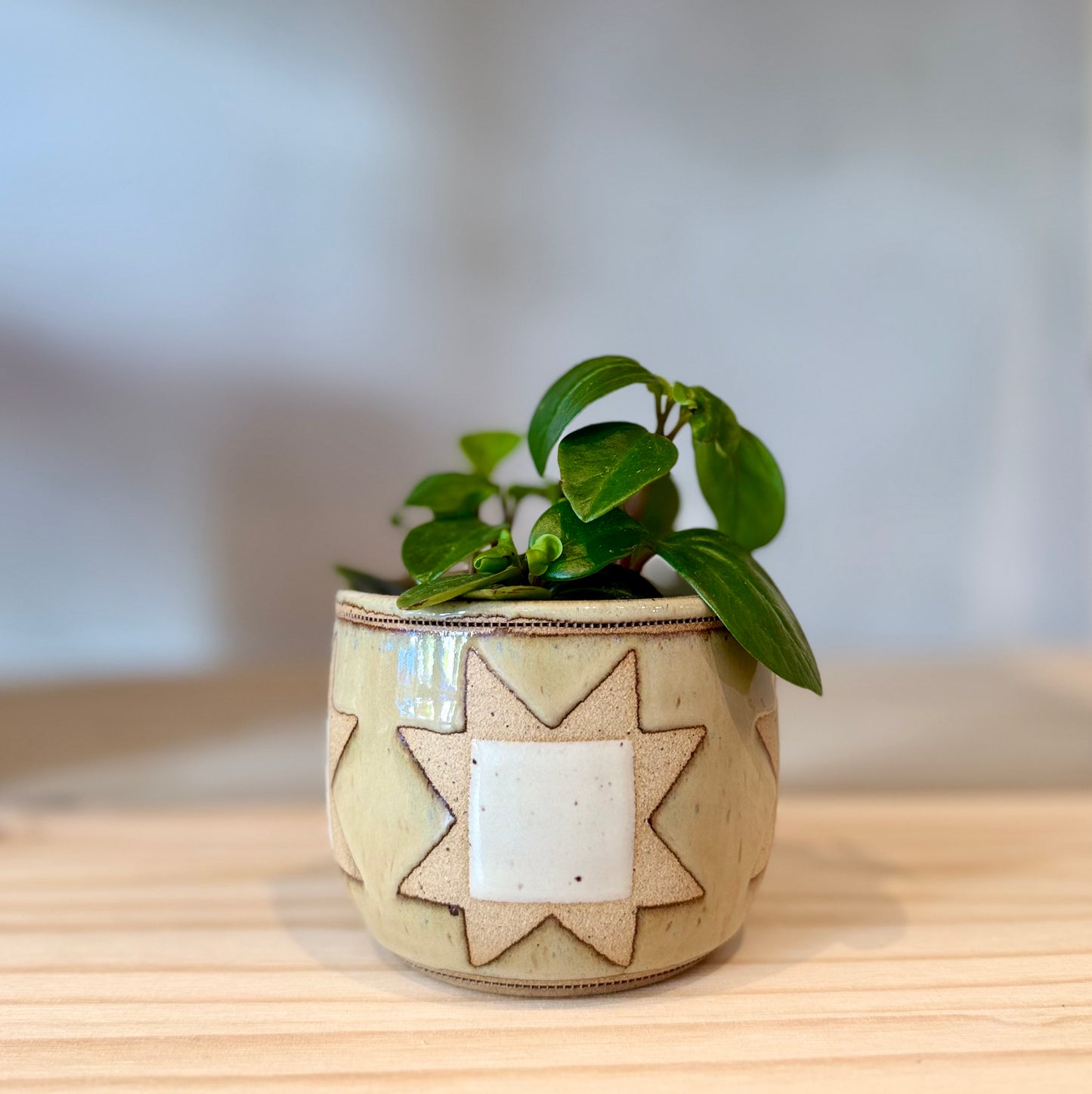 Sawtooth Star Mini Planter-Jute